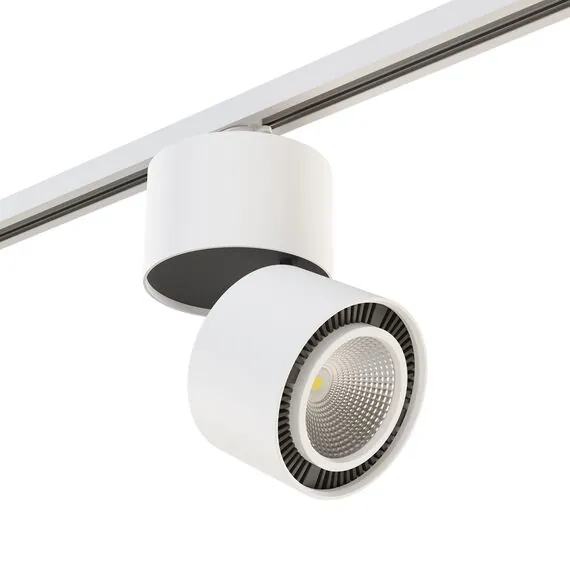 Lightstar A1T213850 Светильник FORTE MURO LED 40W 3400LM 30G БЕЛЫЙ 3000K (592066+213850)