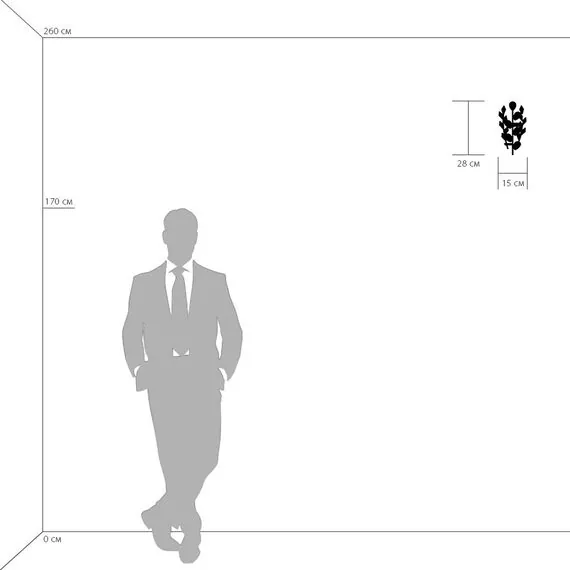 Lightstar 791614 Бра ISABELLE 1х40W G9 ХРОМ, изображение 3