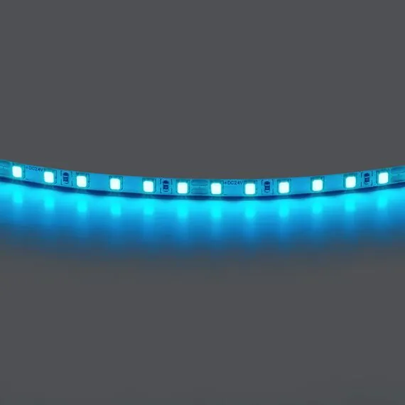 Lightstar 420516 Лента LIGHTSTAR LED 24V 12W 120leds/M 1600 LM/M ice blue IP20 1шт = 5м
