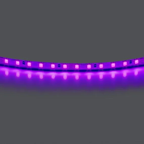 Lightstar 420518 Лента LIGHTSTAR LED 24V 12W 120leds/M 1600 LM/M purple IP20 1шт = 5м