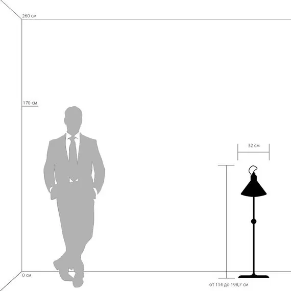 Lightstar 765717 Торшер LOFT 1х40W E14 ЧЕРНЫЙ, изображение 4