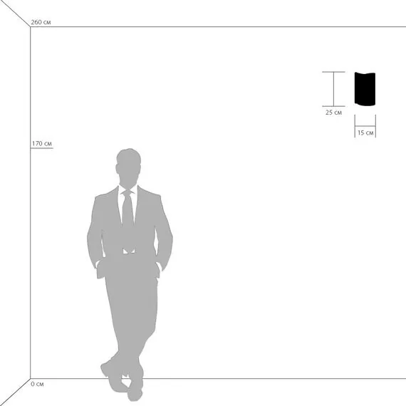 Lightstar 811612 Бра PITTORE 1х40W E27 GOLDEN, изображение 3