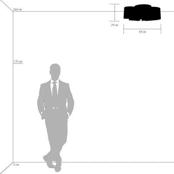 Lightstar 811050 Люстра PITTORE 5х40W E27 БЕЛЫЙ, изображение 4