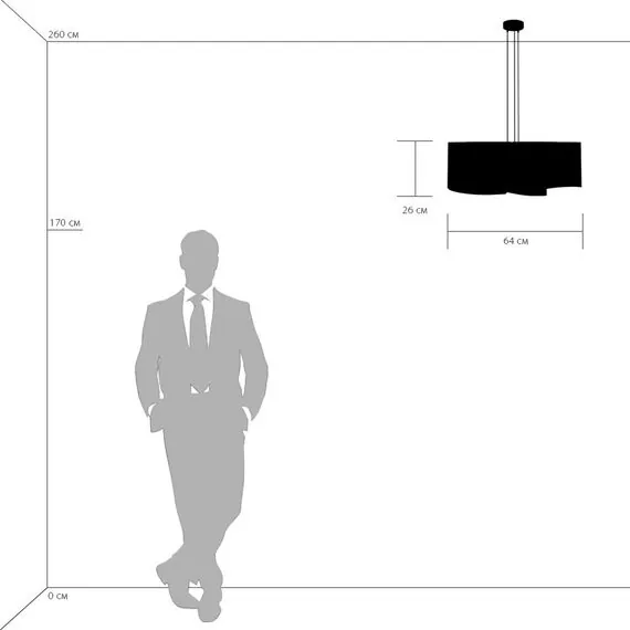 Lightstar 811152 Подвес PITTORE 5х40W E27 GOLDEN, изображение 3