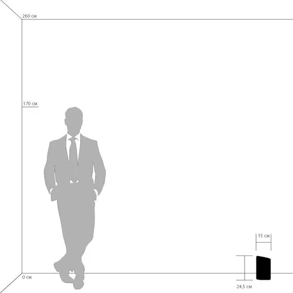 Lightstar 811914 Настольная лампа PITTORE 1х40W E27 SILVER, изображение 3