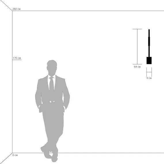 Lightstar 808619 Светильник настенный MURO LED 3W 190LM ХРОМ 3000K, изображение 3