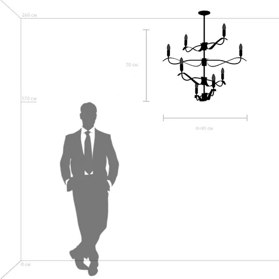 Lightstar 733287 Люстра RAGNO 8х40W E14 ЧЕРНЫЙ МАТОВЫЙ, изображение 3