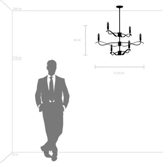 Lightstar 733267 Люстра RAGNO 6х40W E14 ЧЕРНЫЙ МАТОВЫЙ, изображение 3