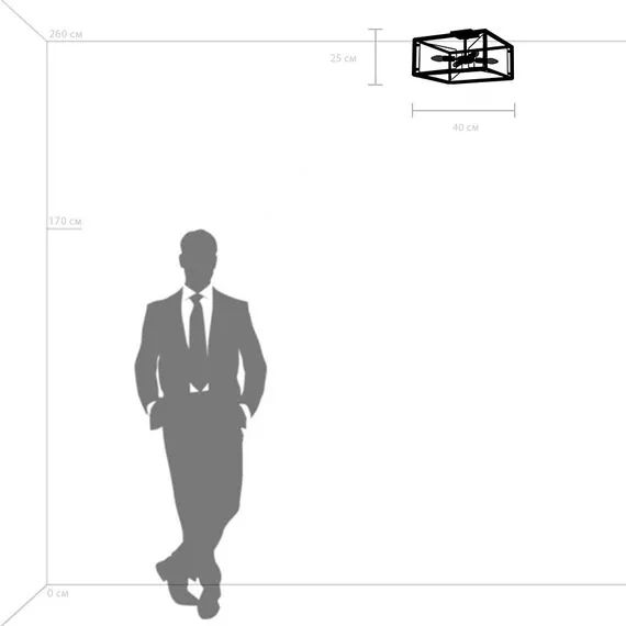 Lightstar 713347 Люстра REGOLO 4х40W E14 ЧЕРНЫЙ МАТОВЫЙ/ЗОЛОТО, изображение 3