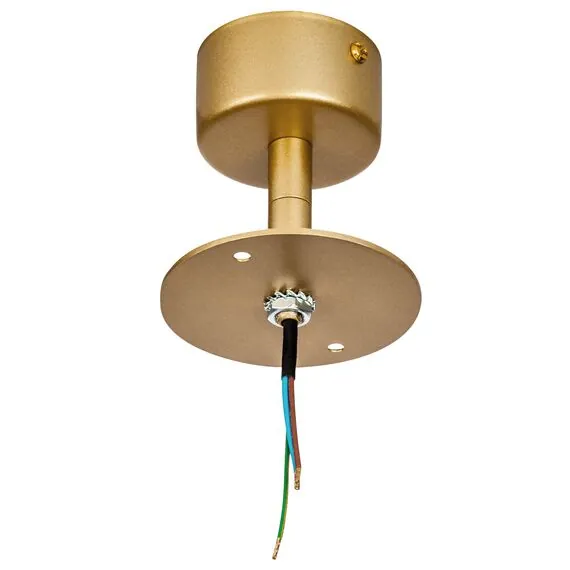 Lightstar 590110 Потолочное крепление RULLO для светильников 213490 GX53/21648x (D80) ЗОЛОТО