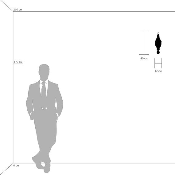 Lightstar 694614 Бра STREGARO 1х60W E14 ХРОМ, изображение 3