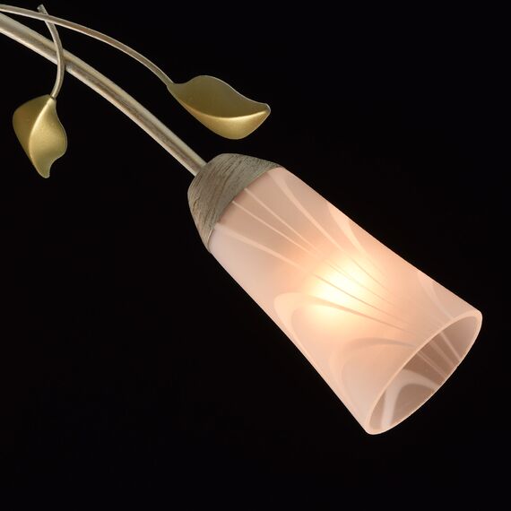 MW-Light 242015306 Люстра потолочная, изображение 5