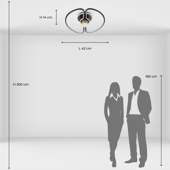 De Markt 312012501 Потолочный светильник, изображение 6