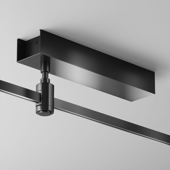 Maytoni Technical TRA156C-BB1-B Основание потолочное Short для блока питания с вводом питания Flarity черный TRA156C-BB1-B Скопирован