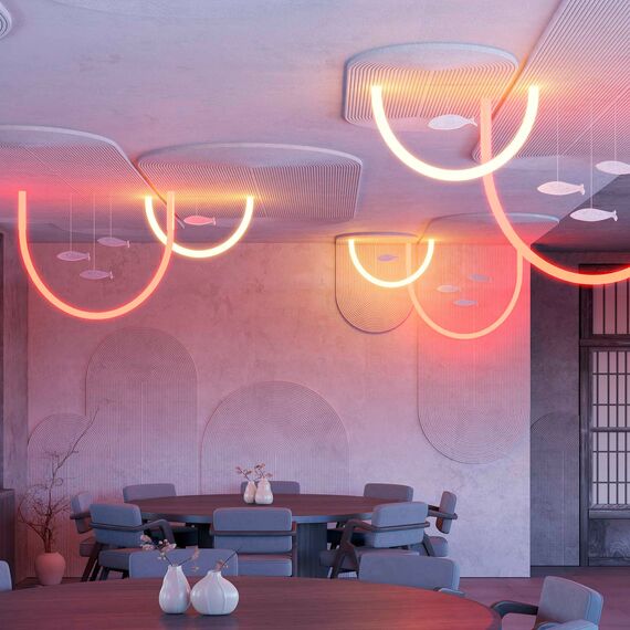 Arlight 048832 Лента герметичная MOONLIGHT-TOP-GM384-D40mm 24V RGBW-Day 360deg (17.2 W/m, IP65, 5m, wire x1) (Arlight, Вывод прямой, 3 года) - ! УПАКОВКА СОСТОИТ ИЗ - 5 м/п, изображение 12