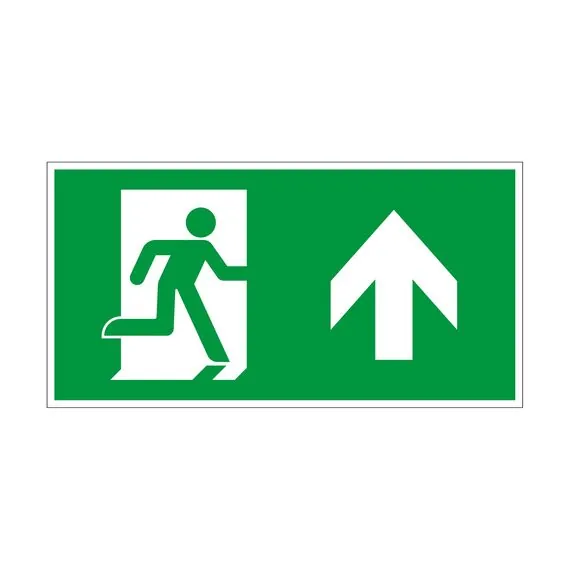 Arlight 046664 Пиктограмма EMGP-VECTOR-UP (Стрелка вверх) (Arlight, Пластик) - ! УПАКОВКА СОСТОИТ ИЗ - 1 шт