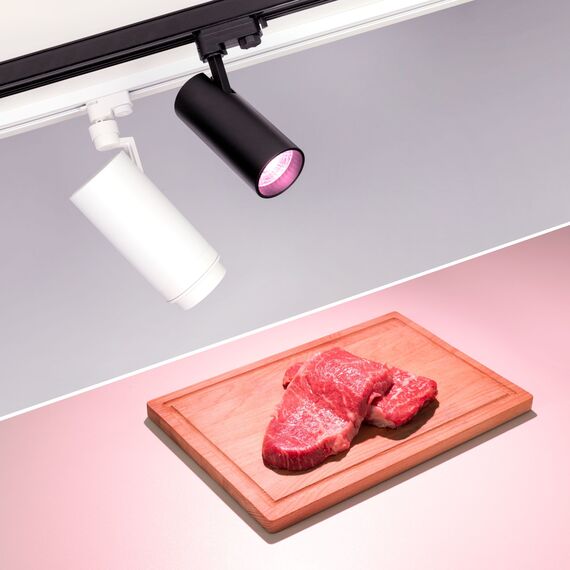 Arlight 032463 Светильник LGD-GERA-4TR-R74-20W Warm SP2900-Meat (WH, 24 deg, 230V) (Arlight, IP20 Металл, 3 года) - ! УПАКОВКА СОСТОИТ ИЗ - 1 шт, изображение 3