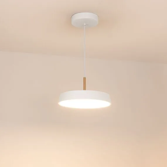 Arlight 033914(1) Светильник SP-ELEGANT-R300-17W Warm3000 (WH, 120 deg, 230V) (Arlight, IP20 Металл, 3 года) - ! УПАКОВКА СОСТОИТ ИЗ - 1 шт, изображение 4