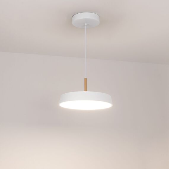 Arlight 033919(1) Светильник SP-ELEGANT-R300-17W Day4000 (WH, 120 deg, 230V) (Arlight, IP20 Металл, 3 года) - ! УПАКОВКА СОСТОИТ ИЗ - 1 шт, изображение 3