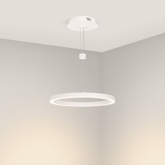 Arlight 046213 Светильник SP-CONGO-CAN-1-R400-24W Day4000 (WH, 120 deg, 230V) (Arlight, IP20 Металл, 5 лет) - ! УПАКОВКА СОСТОИТ ИЗ - 1 шт, изображение 4