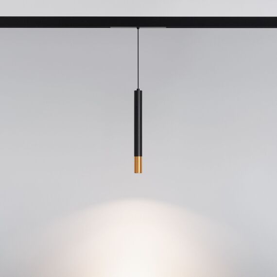 Arlight 034245 Светильник MAG-SPOT-HANG-25-R30-5W Day4000 (BK-GD, 45 deg, 24V) (Arlight, IP20 Металл, 3 года) 034245, изображение 4