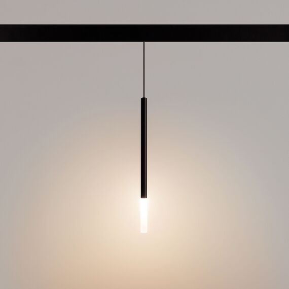 Arlight 037038 Светильник MAG-ORIENT-STICK-HANG-R20-6W Warm3000 (BK, 180 deg, 48V) (Arlight, IP20 Металл, 5 лет) 037038, изображение 4