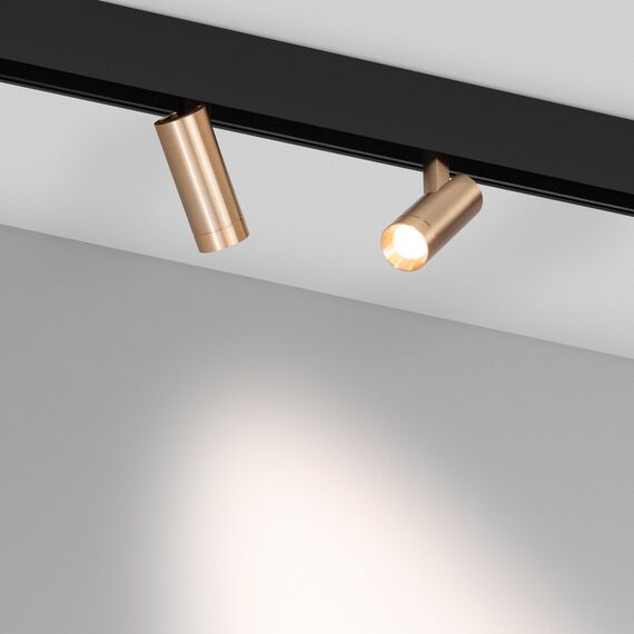 Arlight 040886 Светильник MAG-ORIENT-SPOT-R35-6W Day4000 (GD, 24 deg, 48V) (Arlight, IP20 Металл, 5 лет) 040886, изображение 3