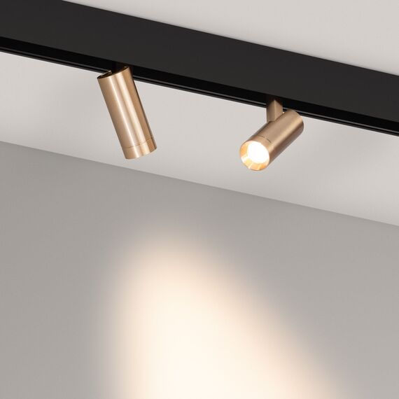 Arlight 040887 Светильник MAG-ORIENT-SPOT-R35-6W Warm3000 (GD, 24 deg, 48V) (Arlight, IP20 Металл, 5 лет) 040887, изображение 4