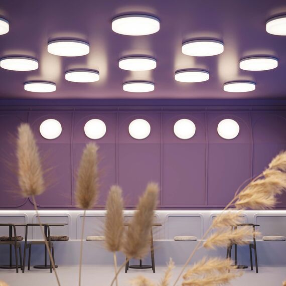 Arlight 037446 Светильник CL-SMURF-R500-50W Day4000-MIX (WH, 140 deg, 230V) (Arlight, IP40 Пластик, 3 года) - ! УПАКОВКА СОСТОИТ ИЗ - 1 шт, изображение 3