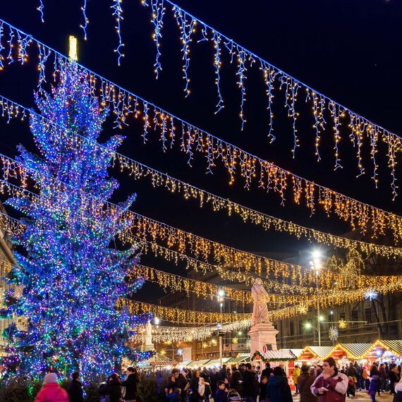 Arlight 026014 Светодиодная гирлянда ARD-EDGE-CLASSIC-2400x600-BLACK-88LED-FLASH WARM (230V, 6W) (Ardecoled, IP65) - ! УПАКОВКА СОСТОИТ ИЗ - 1 шт, изображение 3