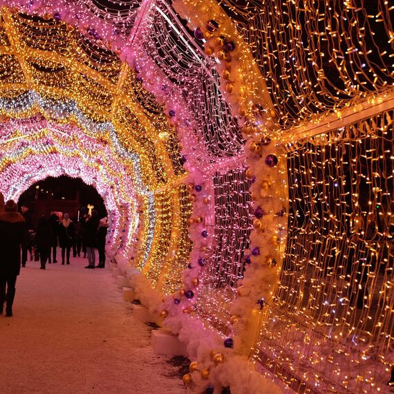 Arlight 025784 Светодиодная гирлянда ARD-STRING-CLASSIC-10000-CLEAR-100LED-FLASH Azure (230V, 7W) (Ardecoled, IP65) - ! УПАКОВКА СОСТОИТ ИЗ - 1 шт, изображение 5