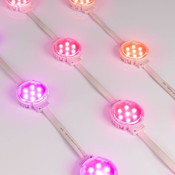 Arlight 036826 Модуль управляемый SPI-F7-D50 24V RGB-RAM-Auto (1.25W, IP68, 120 deg) (Arlight, Пластик, 3 года) - ! УПАКОВКА СОСТОИТ ИЗ - 60 шт, изображение 4