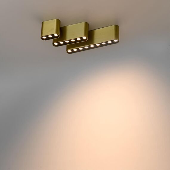 Odeon Light 7093/21CL; 0048289 Потолочный, изображение 3