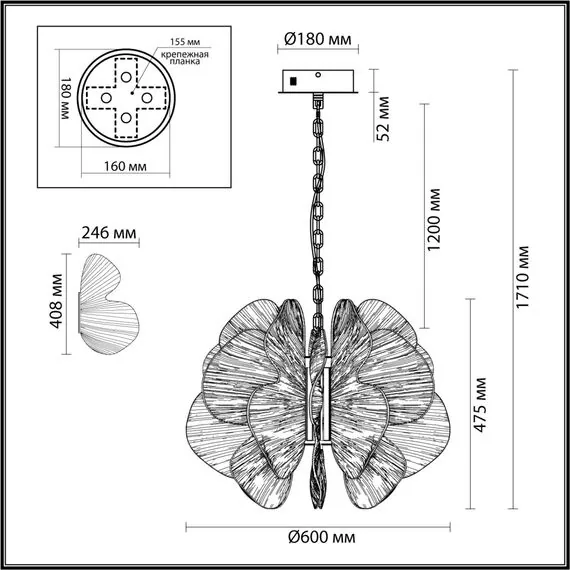 Odeon Light 5089/80L; 0048322 Люстра, изображение 4