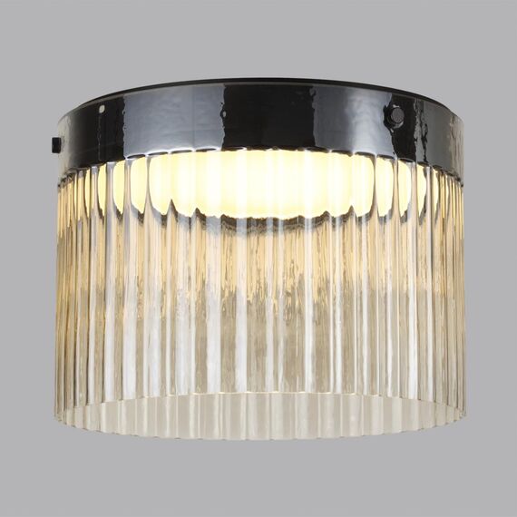 Odeon Light 5047/24LC; 0046963 Потолочный светильник, изображение 2