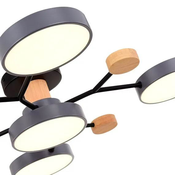 EVOLUCE SLE6006-702-05 Светильник потолочный Серый/Серый LED 5*12W 3000K/4500K/6000K, изображение 5