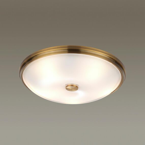 Odeon Light 4956/5; 0044890 Настенно-потолочный светильник, изображение 2