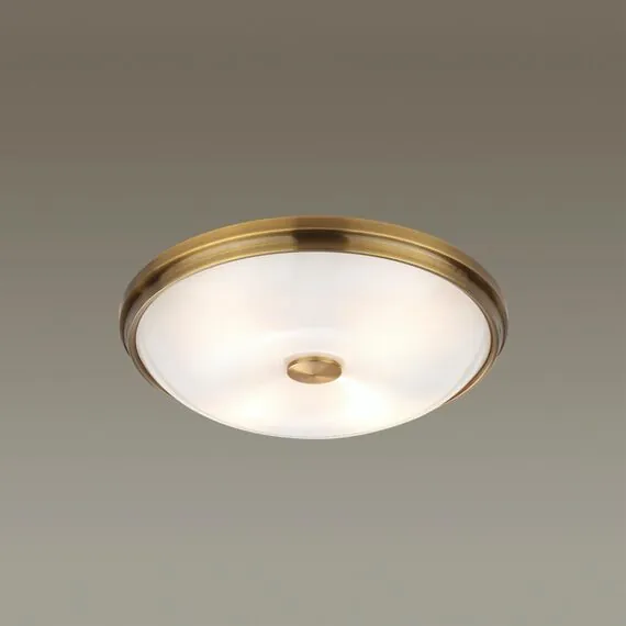 Odeon Light 4956/4; 0044891 Настенно-потолочный светильник, изображение 2