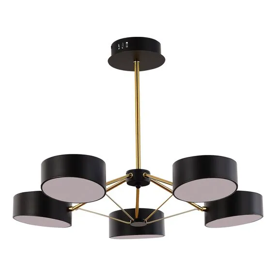 EVOLUCE SLE6005-402-05 Светильник потолочный Черный, Золотистый/Черный LED 5*10W, изображение 4