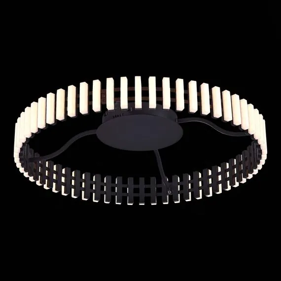 ST LUCE SL6203.402.40 Люстра потолочная ST-Luce Черный/Белый LED 1*40W 3000K, изображение 3