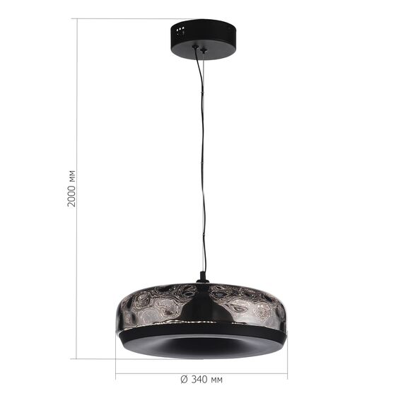 ST LUCE SL6014.403.01 Светильник подвесной ST-Luce Черный/Черный, Дымчатый LED 1*42W 3000K, изображение 5
