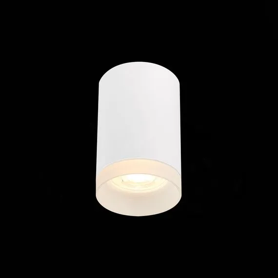 ST LUCE ST100.502.01 Светильник потолочный Белый GU10 1*50W IP20 D64xH99 220V Без ламп, изображение 2