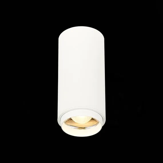 ST LUCE ST600.532.10 Светильник потолочный Zoom Белый LED 1*10W 3000K 1 000Lm Ra>80 15-60° IP20 D59xH130 170, изображение 3