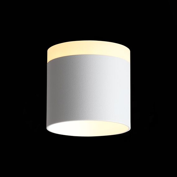 ST LUCE ST102.502.09 Светильник потолочный Белый LED 1*9W 3000K 702Lm Ra>80 120° IP20 D79xH75 170-240V, изображение 3