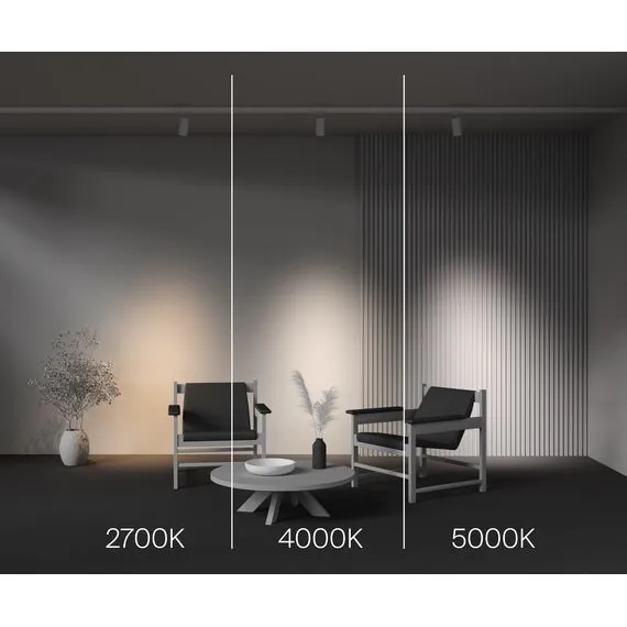 Maytoni Technical TR197-3-20WCCT-M-W Трековый трехфазный светодиодный светильник Trinity Focus Led, изображение 9