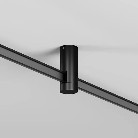 Maytoni TRA200C-11B Крепление потолочное FLEXITY, изображение 3