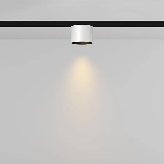 Maytoni Technical TR188-1-5W2.7K-M-BW Трековый магнитный светодиодный светильник Levity Alfa S, изображение 4