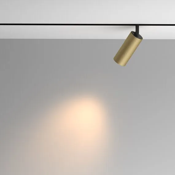 Maytoni Technical TR097-2-12W3K-M-BMG Трековый магнитный светодиодный светильник Exility Artisan, изображение 4