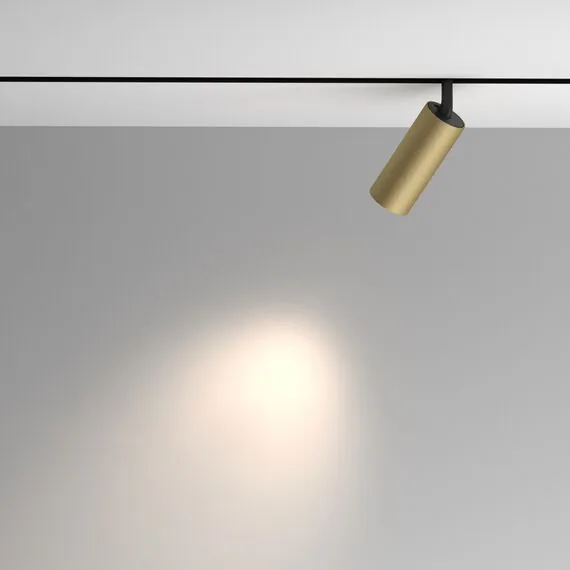 Maytoni Technical TR097-2-12W4K-M-BMG Трековый магнитный светодиодный светильник Exility Artisan, изображение 4