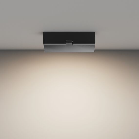 Maytoni Technical C133CL-12W4K-B Потолочный светильник Basis Rot, изображение 4